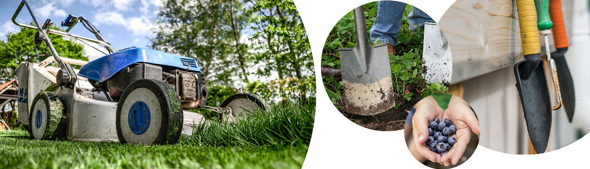 Une tondeuse, une pelle, de quoi appeler un jardinier à domicile